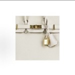 HERMES爱⻢仕 Birkin 25 ⾦扣 ⼥款 10 Craie 奶昔⽩